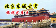 樱花影院啪啪啪中国北京-东城古宫旅游风景区